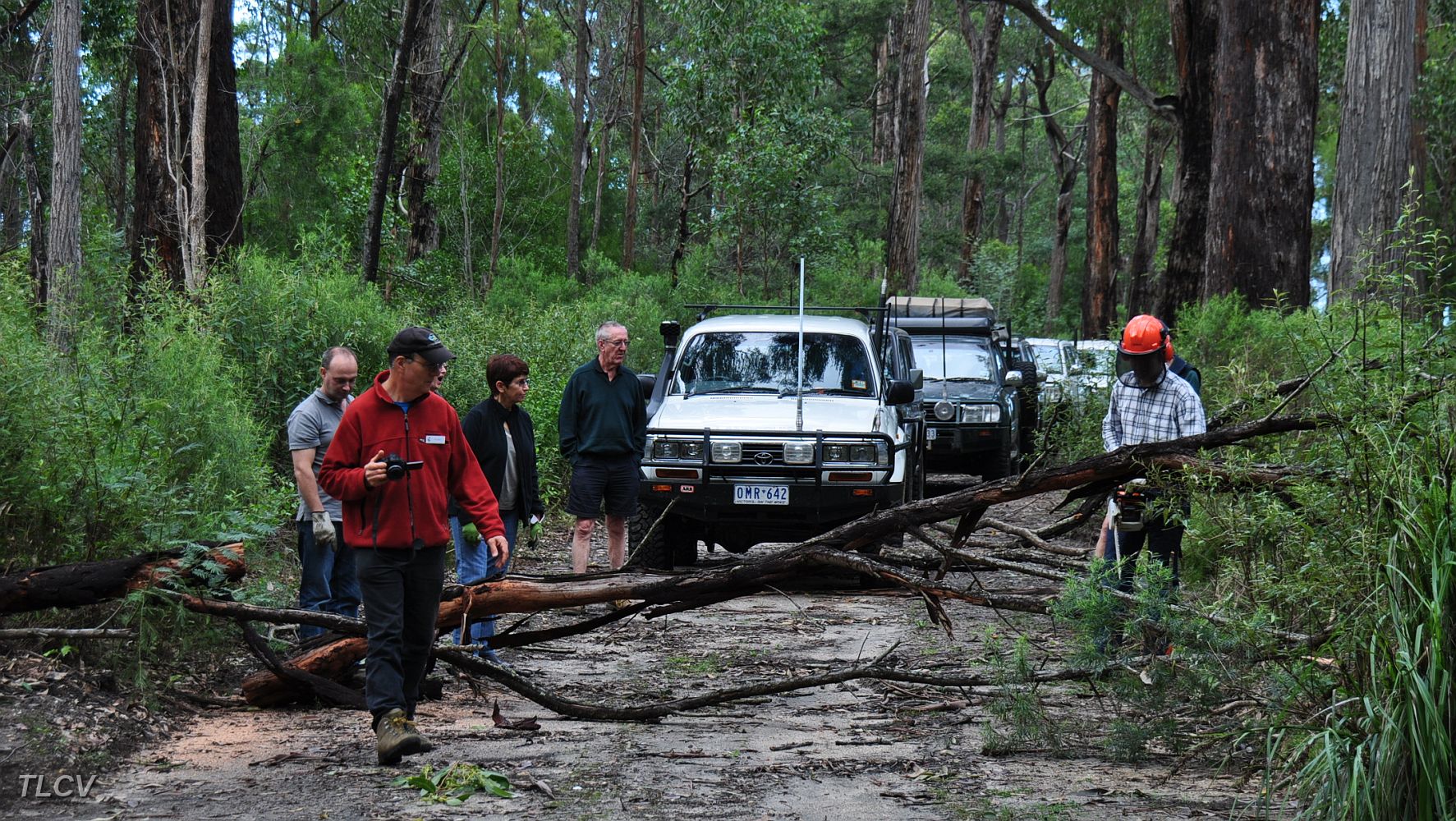 03-Michael makes easy work of a fallen tree.JPG